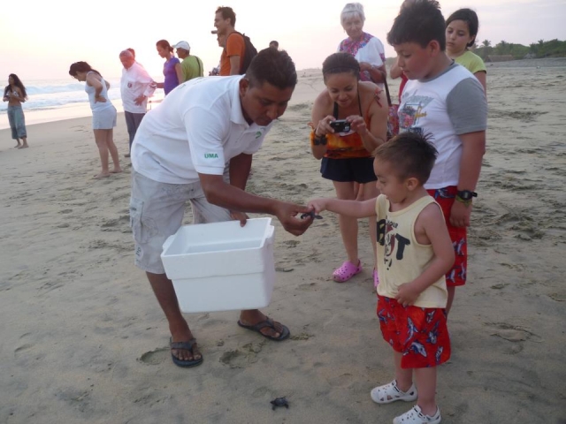 Liberacion de tortugas